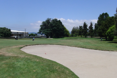 �j���[�W�[�����h�̃S���t��