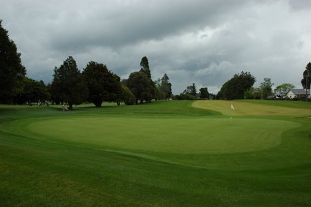 �j���[�W�[�����h�̃S���t��