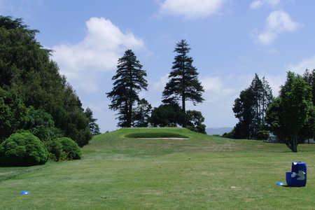 �j���[�W�[�����h�̃S���t��