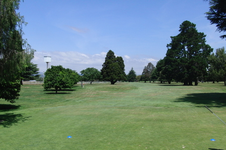 �j���[�W�[�����h�̃S���t��