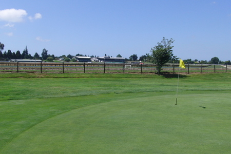 �j���[�W�[�����h�̃S���t��