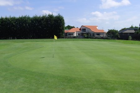 �j���[�W�[�����h�̃S���t��