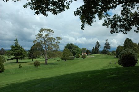 �j���[�W�[�����h�̃S���t��