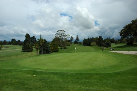 �j���[�W�[�����h�̃S���t��