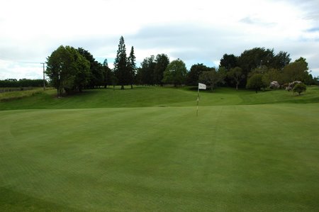 �j���[�W�[�����h�̃S���t��