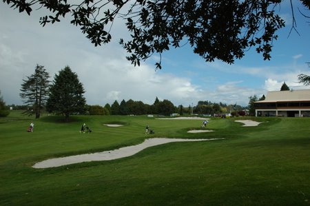 �j���[�W�[�����h�̃S���t��