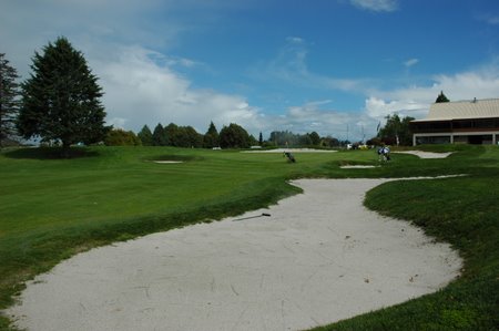 �j���[�W�[�����h�̃S���t��