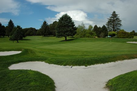 �j���[�W�[�����h�̃S���t��