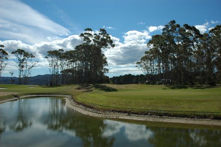 �j���[�W�[�����h�̃S���t��