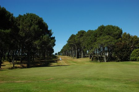 �j���[�W�[�����h�̃S���t��