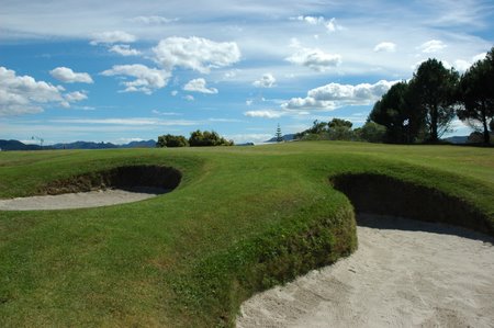 �j���[�W�[�����h�̃S���t��