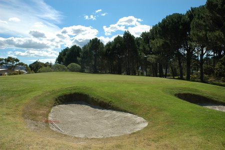 �j���[�W�[�����h�̃S���t��