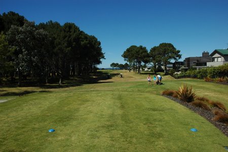 �j���[�W�[�����h�̃S���t��