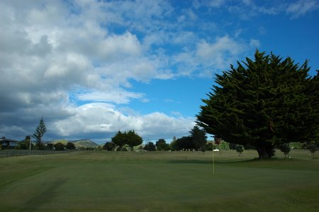 �j���[�W�[�����h�̃S���t��