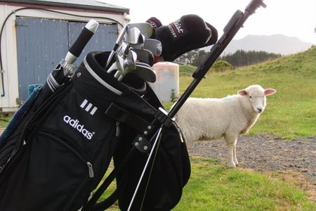 �j���[�W�[�����h�̃S���t��