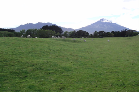 �j���[�W�[�����h�̃S���t��