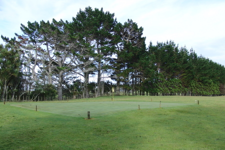 �j���[�W�[�����h�̃S���t��