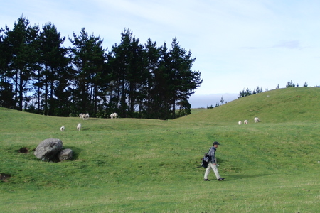 �j���[�W�[�����h�̃S���t��