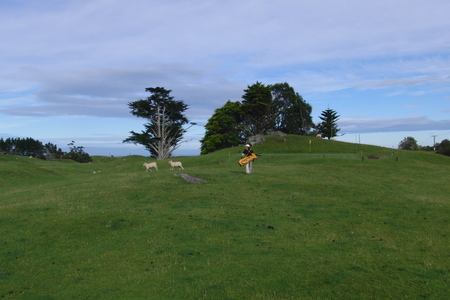 �j���[�W�[�����h�̃S���t��