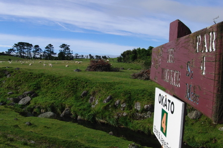 �j���[�W�[�����h�̃S���t��