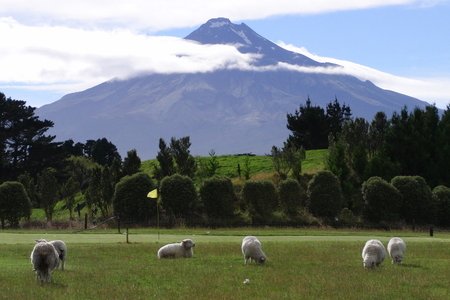 �j���[�W�[�����h�̃S���t��