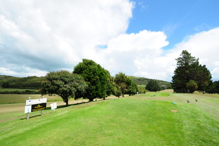 �j���[�W�[�����h�̃S���t��