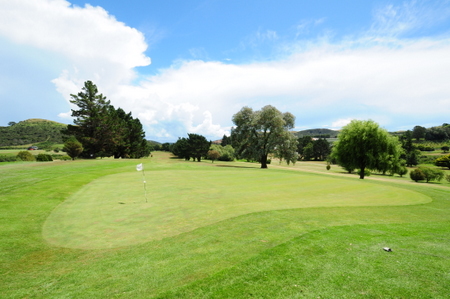 �j���[�W�[�����h�̃S���t��