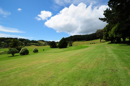 �j���[�W�[�����h�̃S���t��