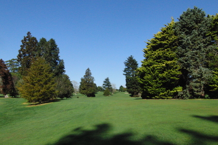 ニュージーランドのゴルフ場