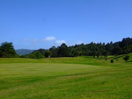 �j���[�W�[�����h�̃S���t��