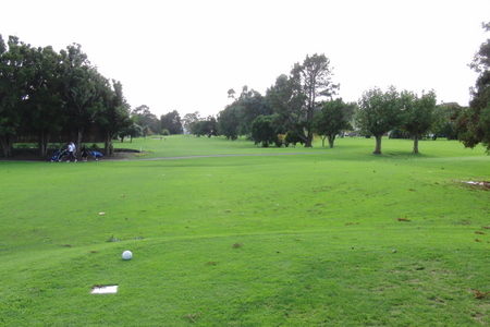 �j���[�W�[�����h�̃S���t��