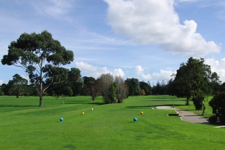 �j���[�W�[�����h�̃S���t��