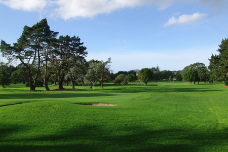 �j���[�W�[�����h�̃S���t��