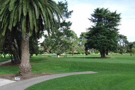 �j���[�W�[�����h�̃S���t��