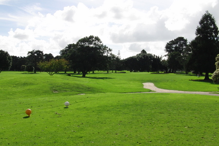 �j���[�W�[�����h�̃S���t��