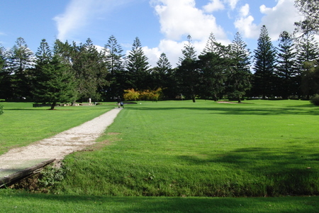 �j���[�W�[�����h�̃S���t��