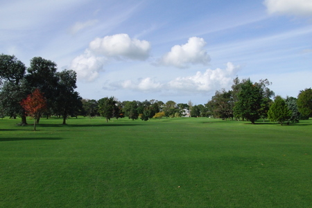 �j���[�W�[�����h�̃S���t��