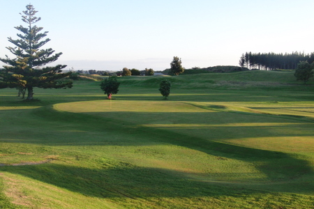 �j���[�W�[�����h�̃S���t��