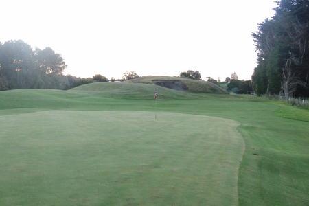 �j���[�W�[�����h�̃S���t��