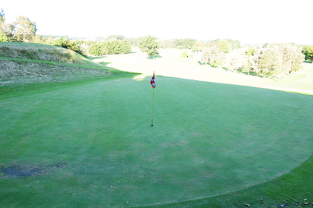 �j���[�W�[�����h�̃S���t��