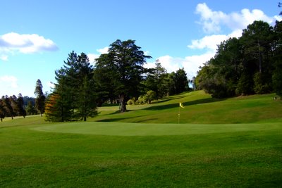 �j���[�W�[�����h�̃S���t��