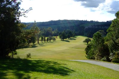 �j���[�W�[�����h�̃S���t��