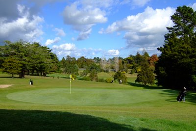 �j���[�W�[�����h�̃S���t��