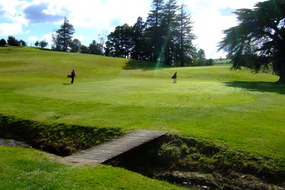 �j���[�W�[�����h�̃S���t��