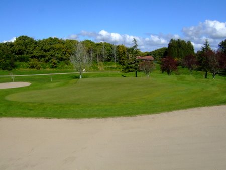 �j���[�W�[�����h�̃S���t��