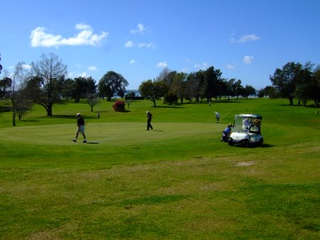 �j���[�W�[�����h�̃S���t��