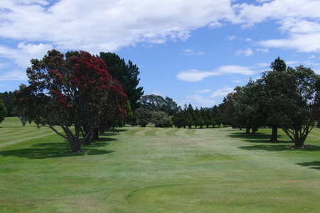 �j���[�W�[�����h�̃S���t��