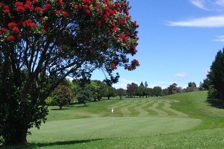 �j���[�W�[�����h�̃S���t��