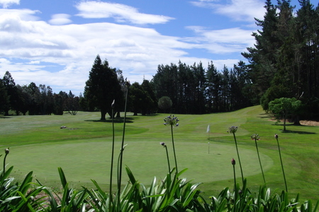 �j���[�W�[�����h�̃S���t��