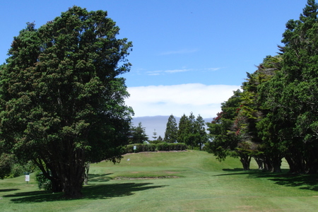 �j���[�W�[�����h�̃S���t��